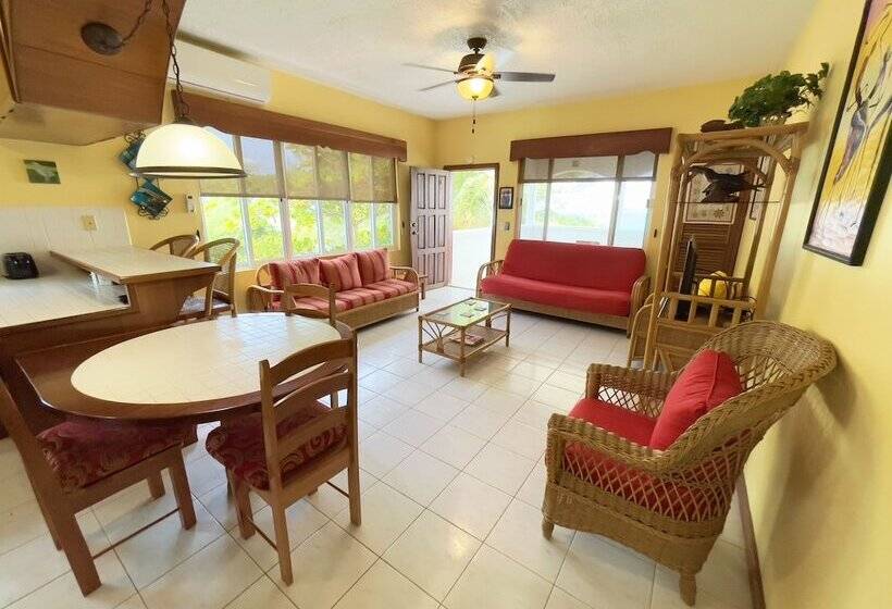 Belizean Reef Suites