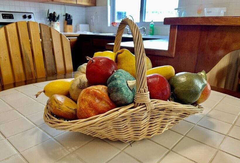 Belizean Reef Suites