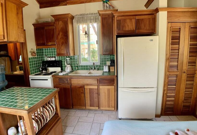 Belizean Reef Suites