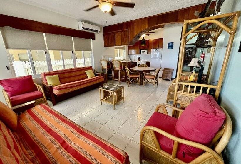 Belizean Reef Suites