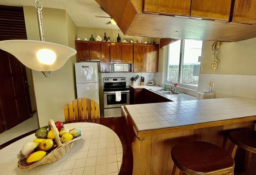 Belizean Reef Suites