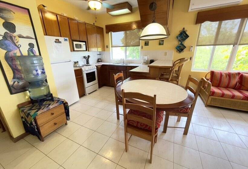 Belizean Reef Suites