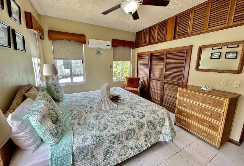 Belizean Reef Suites