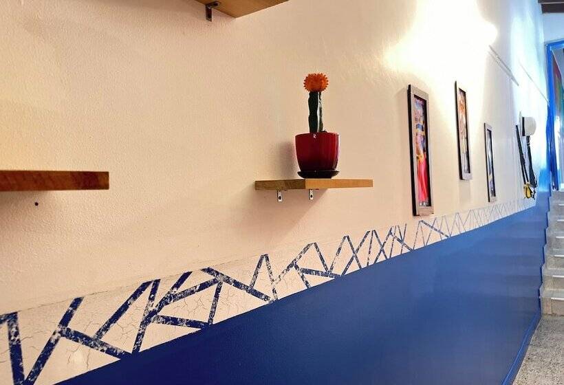 Hostal Casa Guadalupe