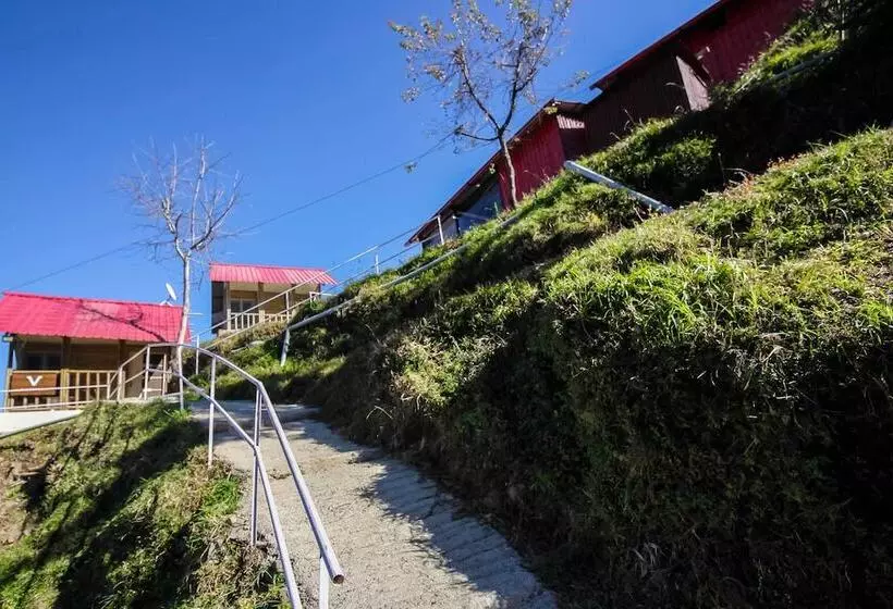 هتل Glamwood Resort