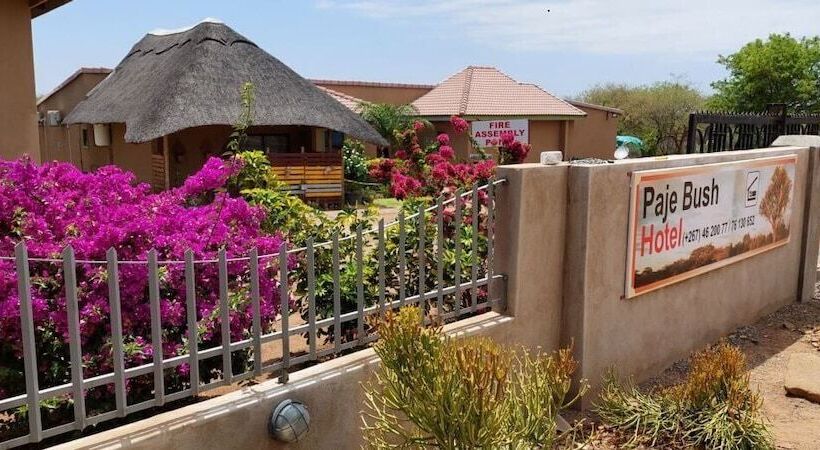 هتل Paje Bush