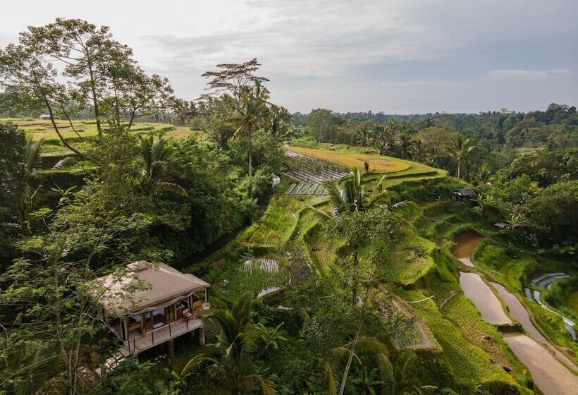 Nadi Nature Resort Adults Only