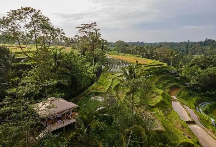 Nadi Nature Resort   Adults Only