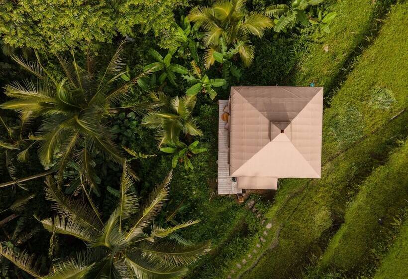 Nadi Nature Resort Adults Only