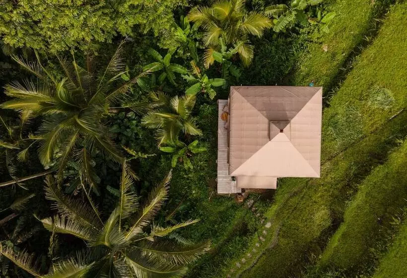 Nadi Nature Resort   Adults Only