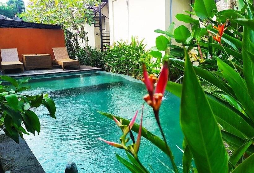 ペンション Nobody Inn Bali