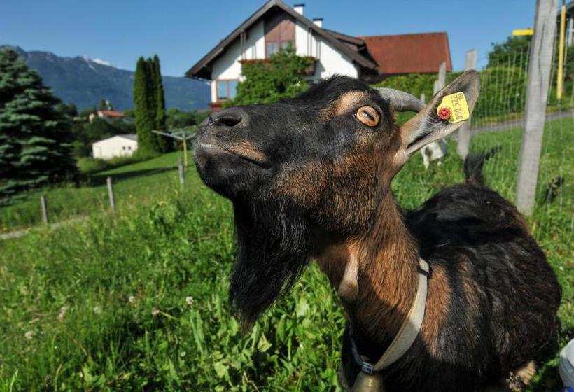 בית מלון כפרי Appartementhaus Drobollach