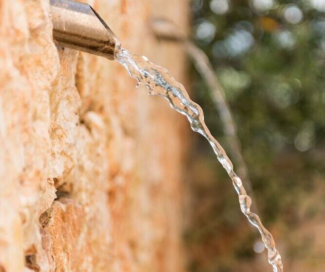 ホテル Cas Cabo Nou Agroturismo Adults Only