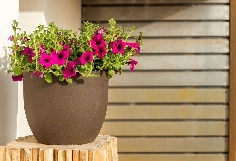 ホテル Cas Cabo Nou Agroturismo Adults Only