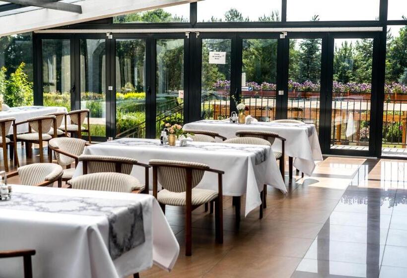 酒店 Dworek Helena