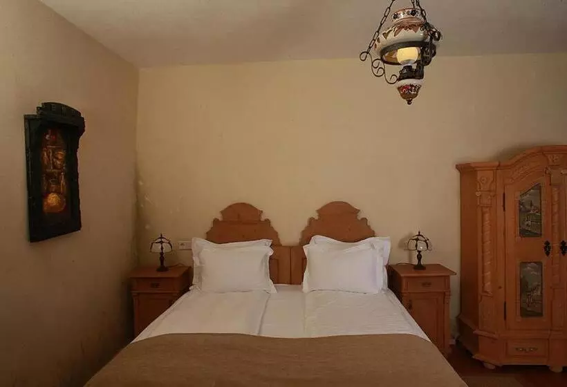 ホテル Fronius Boutique Residence