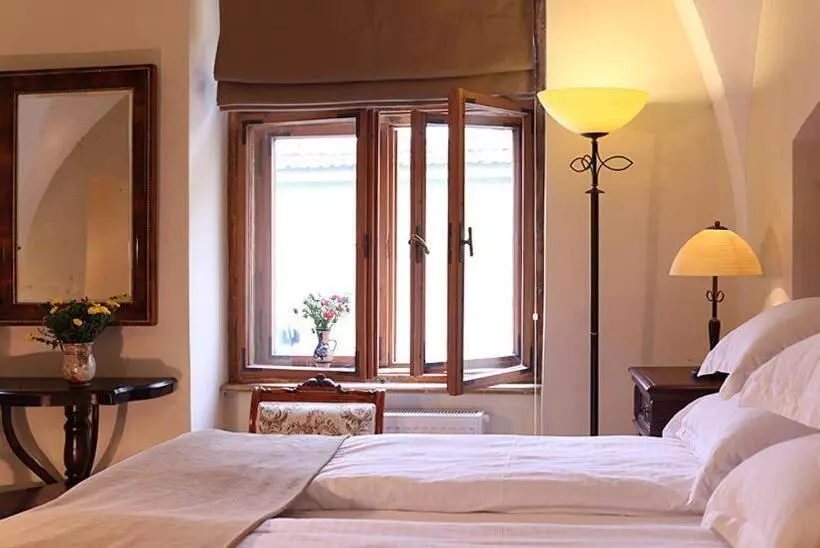 ホテル Fronius Boutique Residence