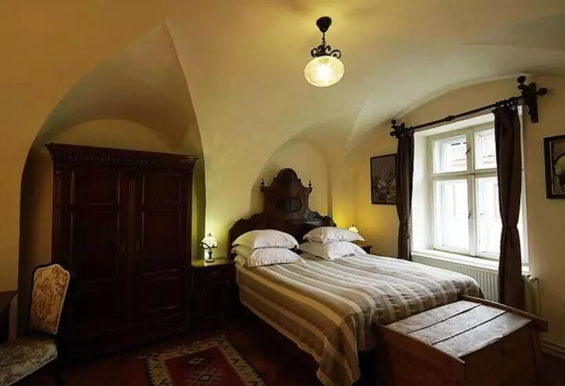 ホテル Fronius Boutique Residence
