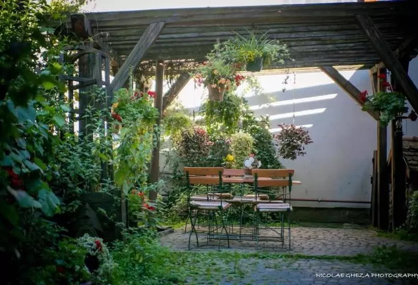 ホテル Fronius Boutique Residence