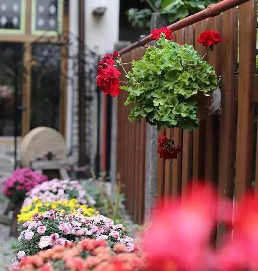 ホテル Fronius Boutique Residence