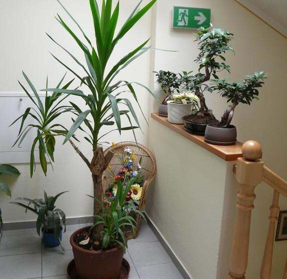 Отель Gasthof Pension Luger