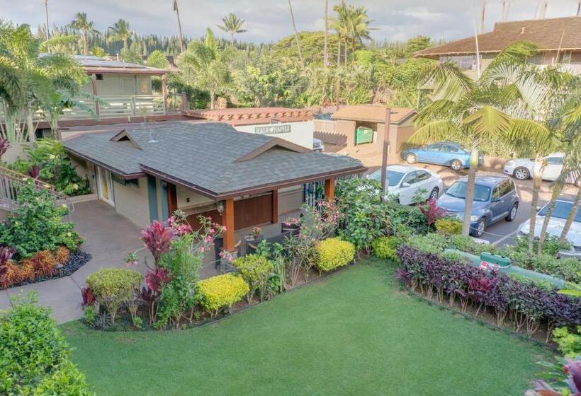 ホテル Hale Napili