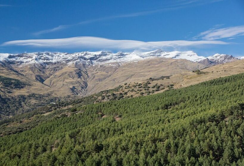 Отель Maravedí