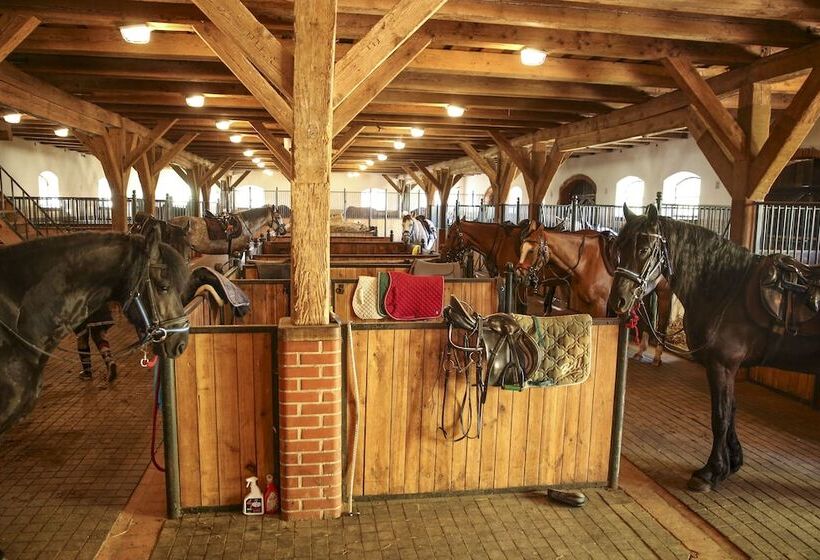 בית מלון כפרי Pałac Galiny