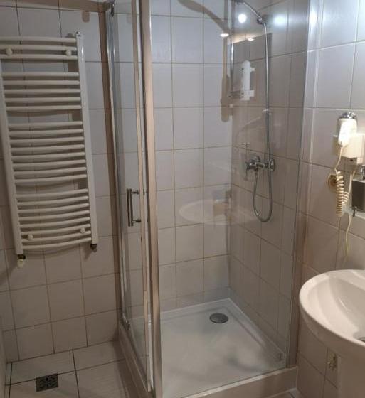 فندق Stary Młyn