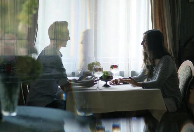 酒店 Villa Elise Park Pension