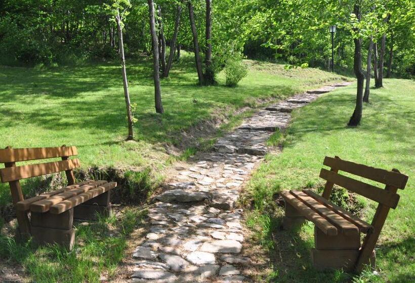 酒店 Villa Elise Park Pension