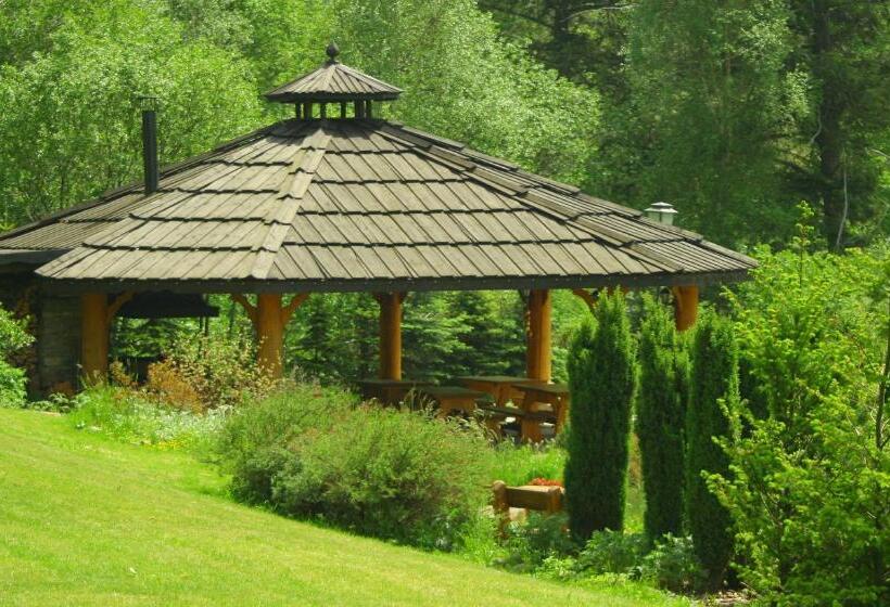 酒店 Villa Elise Park Pension