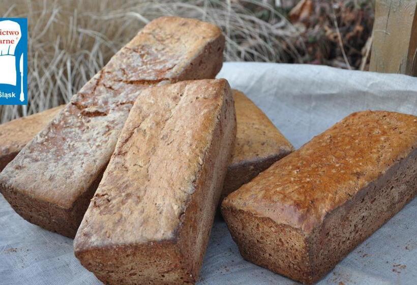 酒店 Villa Elise Park Pension