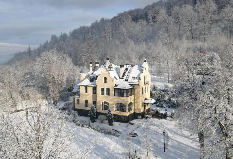 酒店 Villa Elise Park Pension