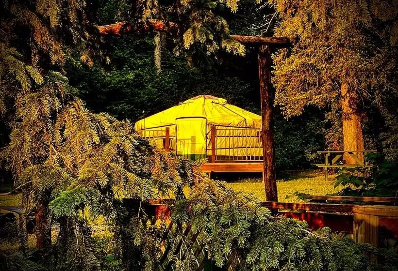 ホテル Whitetail Creek Camping Resort