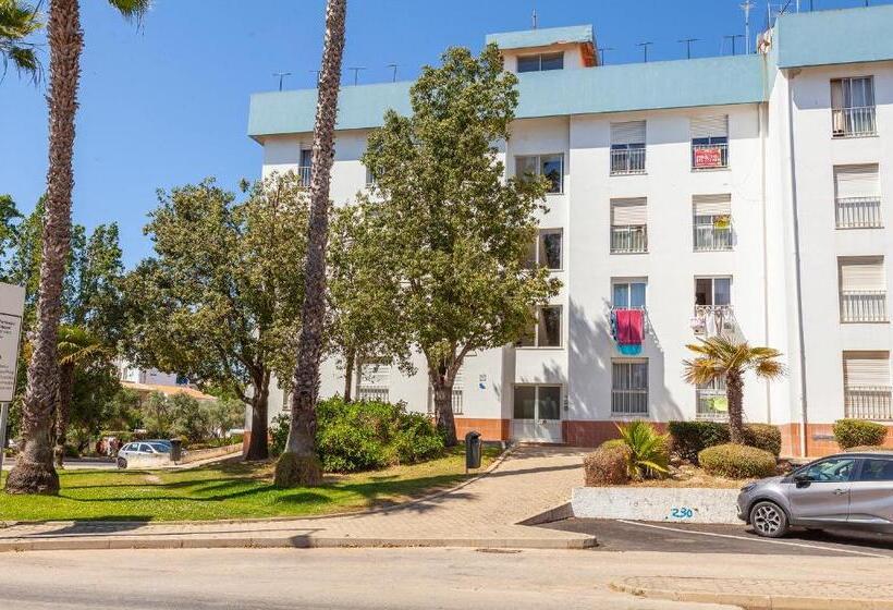 Пансион M Martin & Tomas Guesthouse