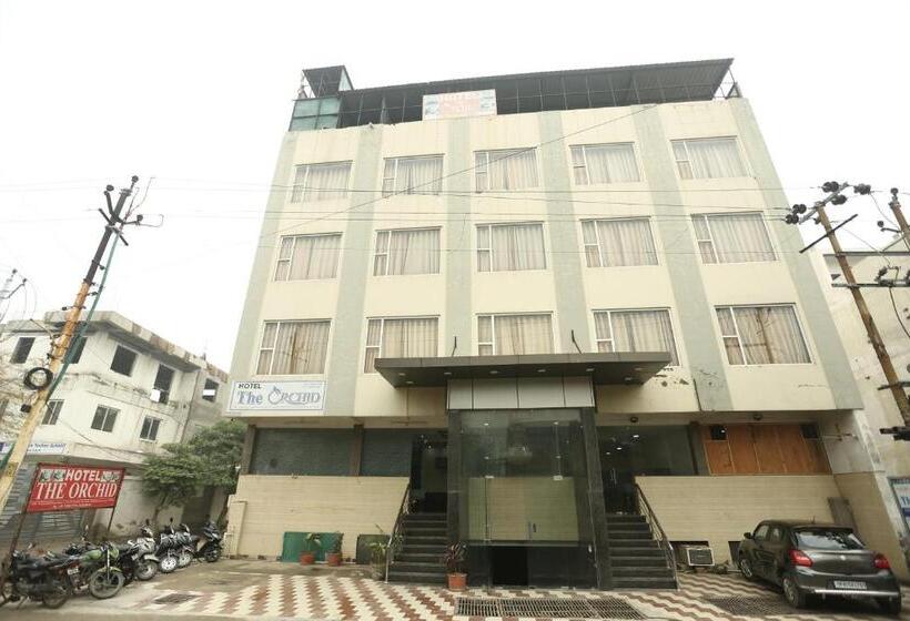 בית מלון כפרי Orchid & Banquet