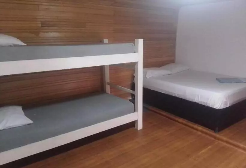 پانسیون Hostal Paloma Café