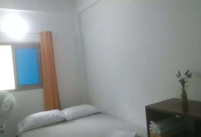 پانسیون Hostal Paloma Café