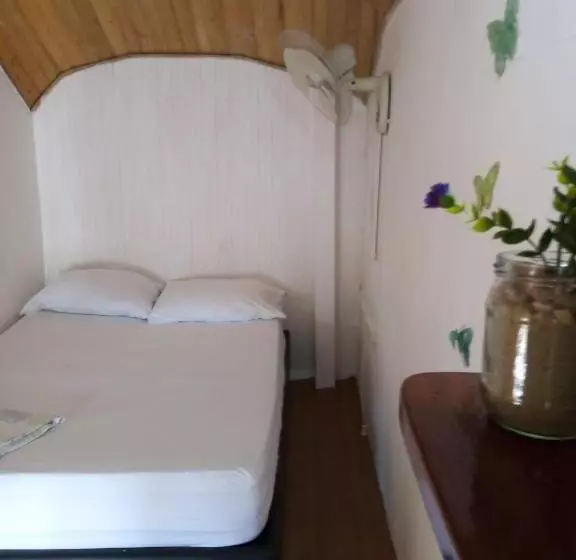 پانسیون Hostal Paloma Café