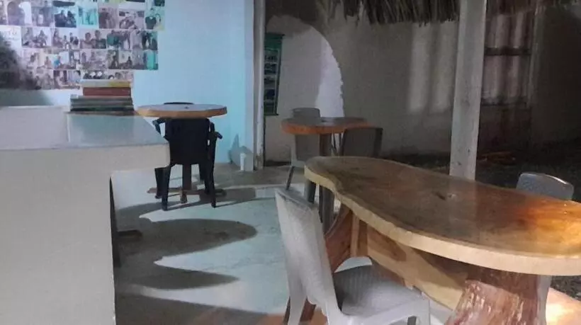 پانسیون Hostal Paloma Café