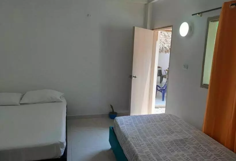 پانسیون Hostal Paloma Café