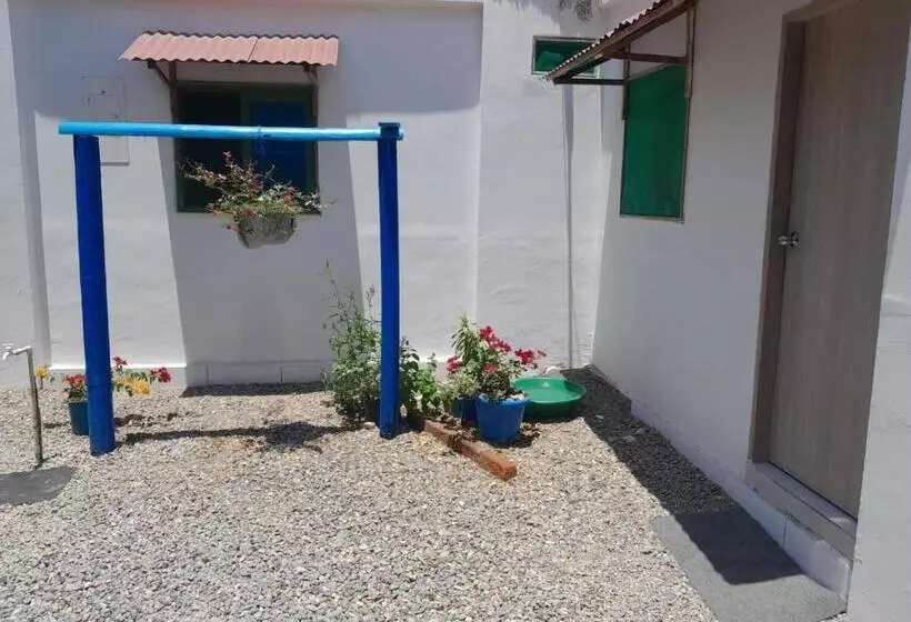 پانسیون Hostal Paloma Café