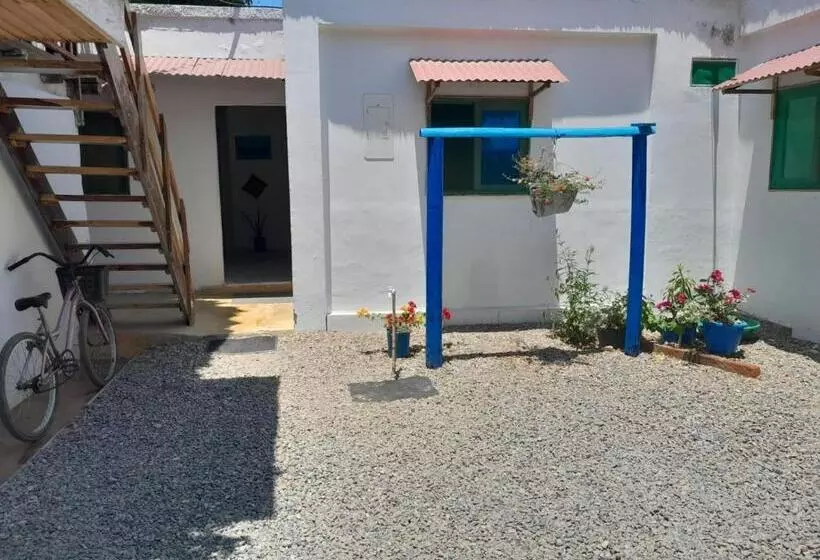 پانسیون Hostal Paloma Café