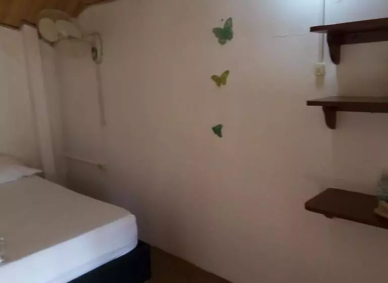 پانسیون Hostal Paloma Café
