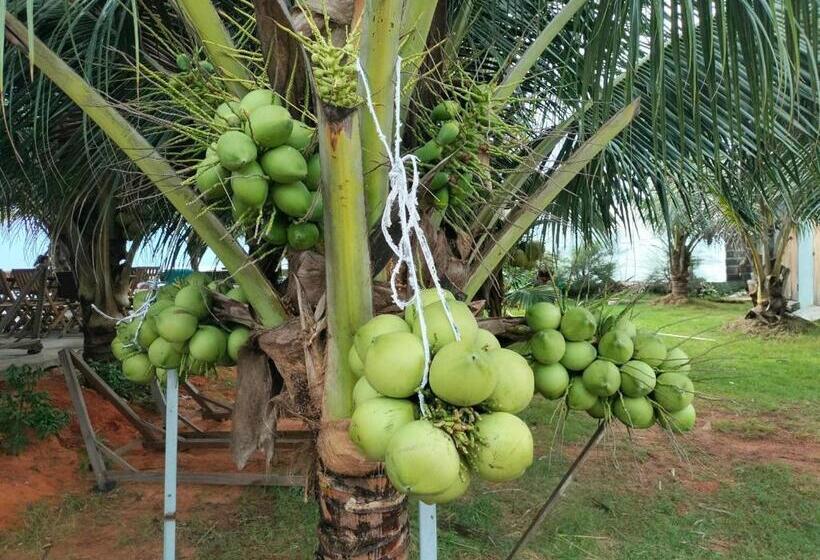 استراحتگاه Biển Ngọc Homstay