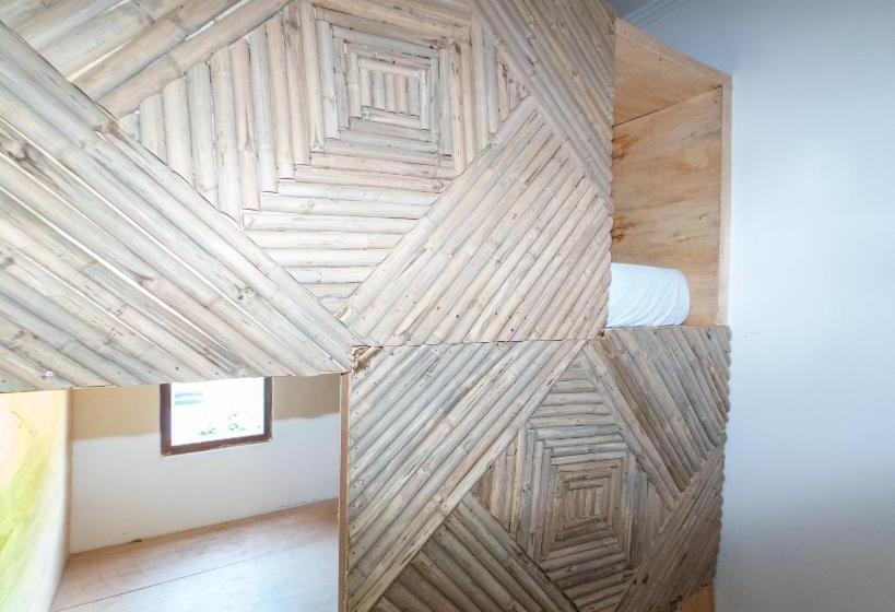 Roctopus Dive Center And Hostel