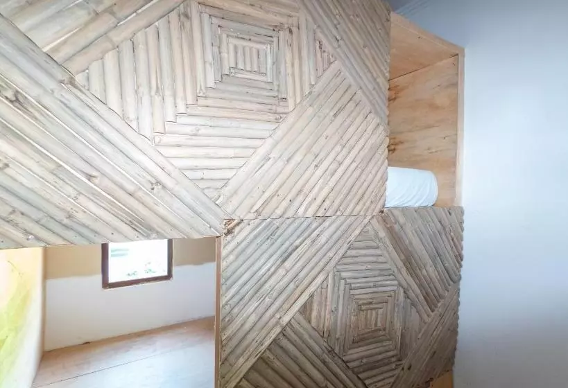 Roctopus Dive Center And Hostel