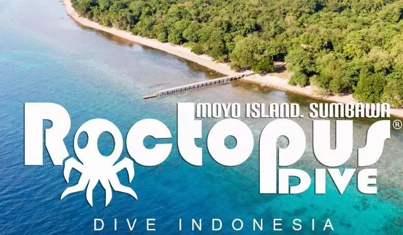 Roctopus Dive Center And Hostel