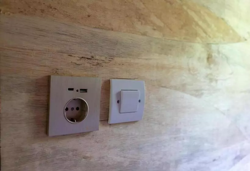 Roctopus Dive Center And Hostel